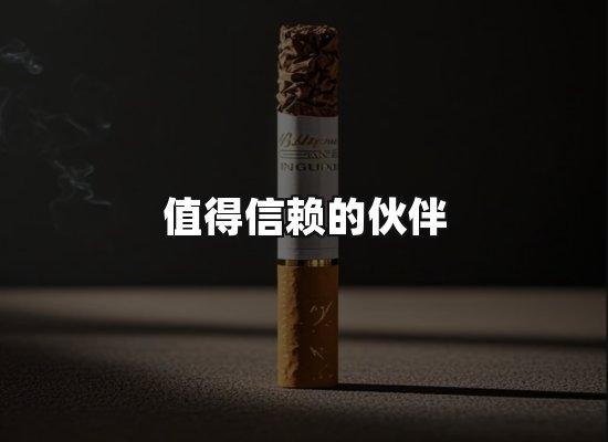 专业优势